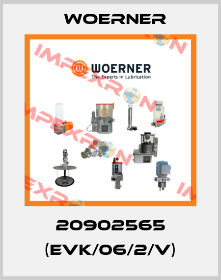 20902565 (EVK/06/2/V) Woerner