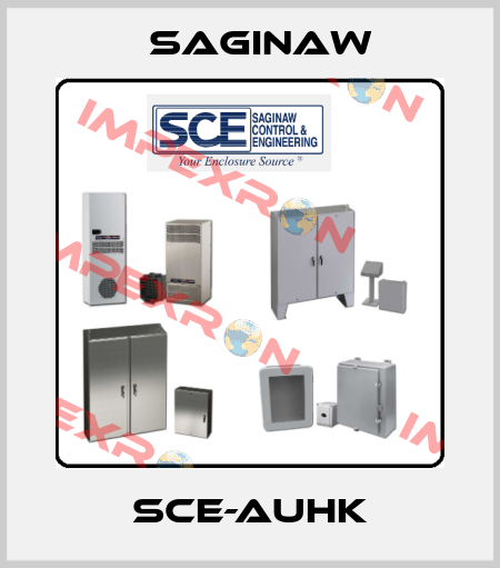 SCE-AUHK Saginaw