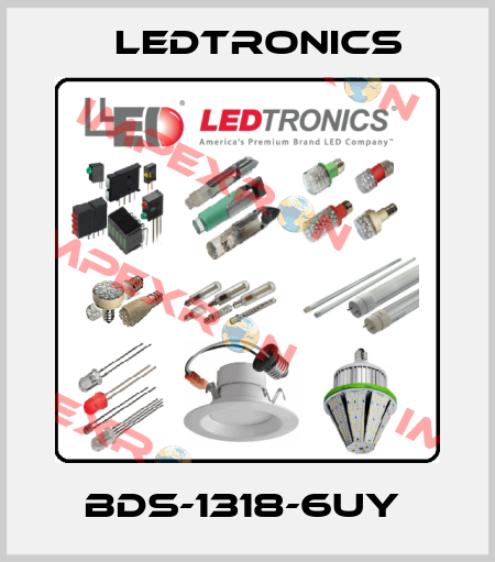 BDS-1318-6UY  LEDTRONICS
