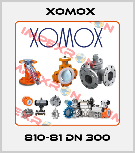 810-81 Dn 300 Xomox