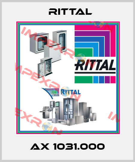 AX 1031.000 Rittal