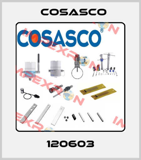 120603 Cosasco