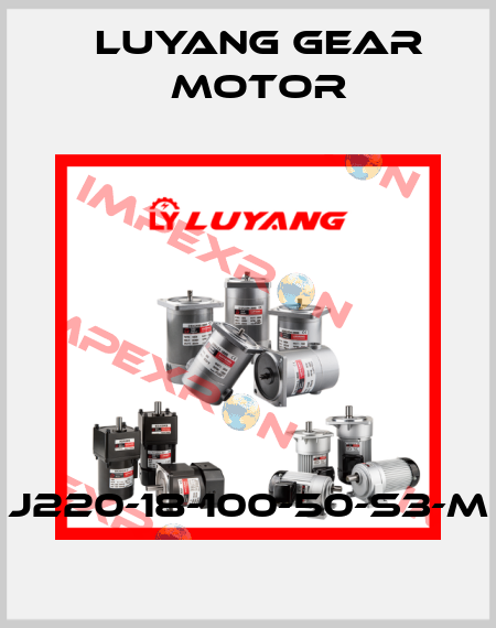 J220-18-100-50-S3-M Luyang Gear Motor