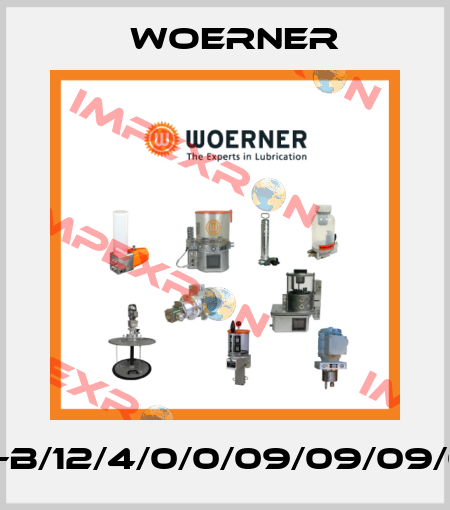 100VPB-B/12/4/0/0/09/09/09/09/09/0 Woerner