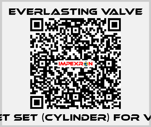GASKET SET (CYLINDER) for V102SP Everlasting Valve
