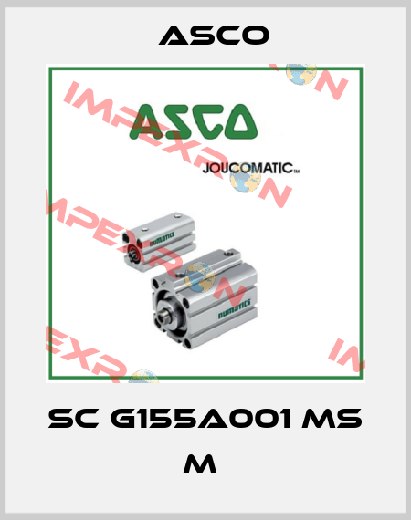 SC G155A001 MS M  Asco