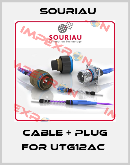 Cable + plug for UTG12AC  Souriau