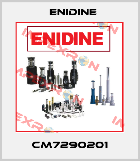 CM7290201 Enidine