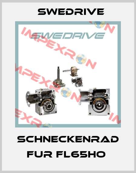 SCHNECKENRAD FUR FL65HO  Swedrive
