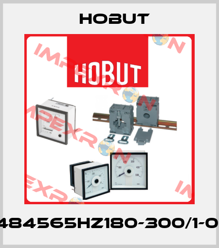 D484565HZ180-300/1-001 hobut