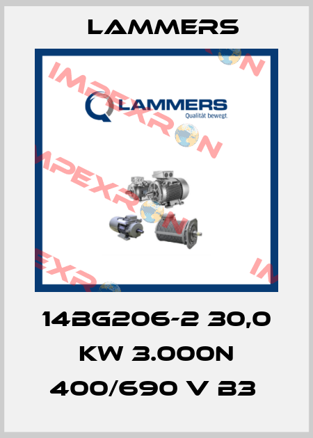 14BG206-2 30,0 KW 3.000N 400/690 V B3  Lammers