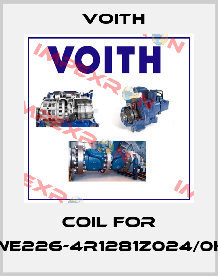 Coil for WE226-4R1281Z024/0H Voith