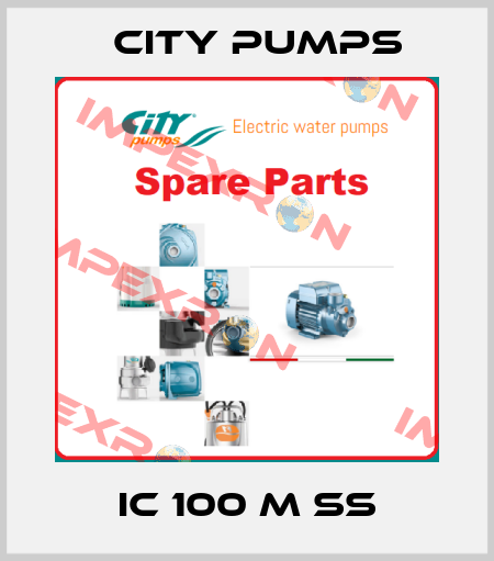 IC 100 M SS City Pumps