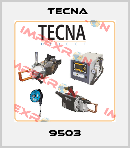 9503 Tecna