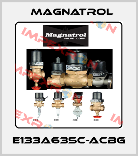 E133A63SC-ACBG Magnatrol