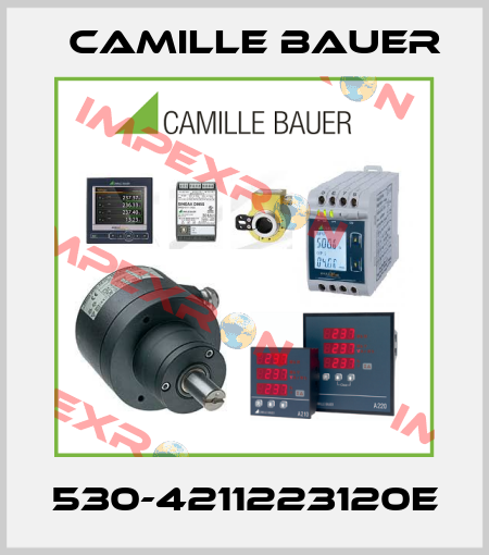 530-4211223120E Camille Bauer