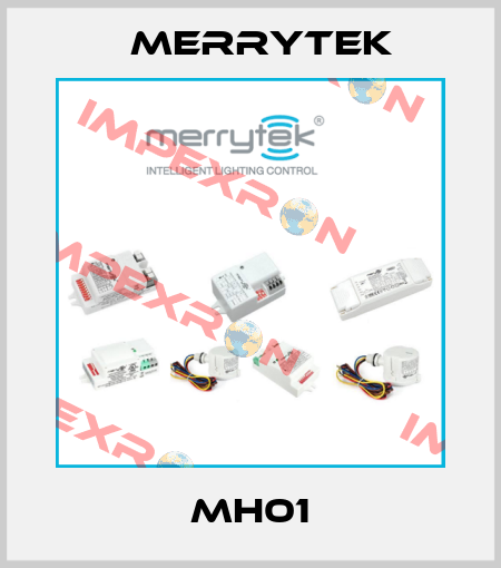 MH01 Merrytek