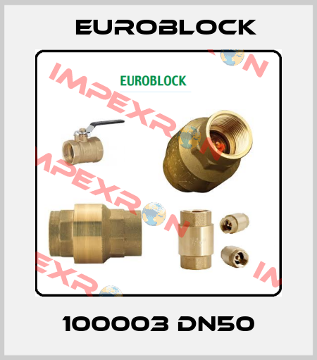 100003 DN50 Euroblock