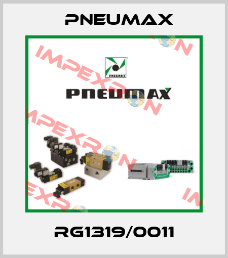 RG1319/0011 Pneumax