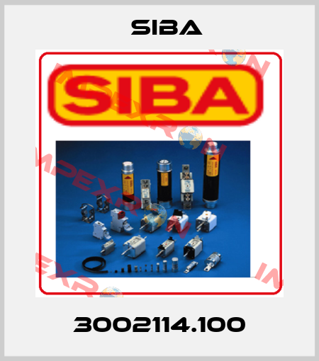 3002114.100 Siba
