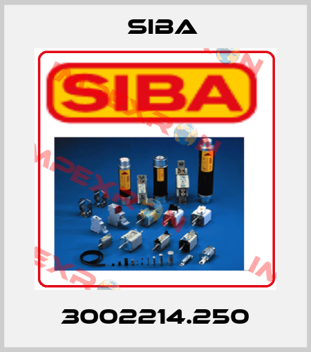 3002214.250 Siba