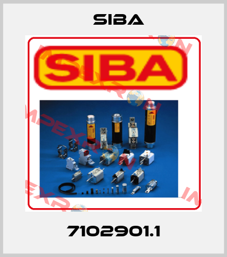 7102901.1 Siba