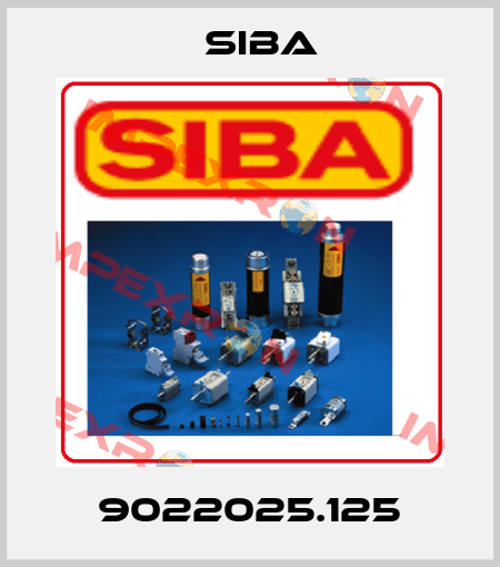 9022025.125 Siba
