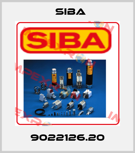 9022126.20 Siba