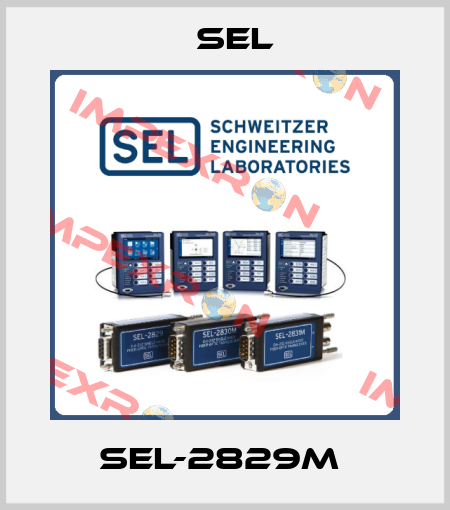 SEL-2829M  Sel
