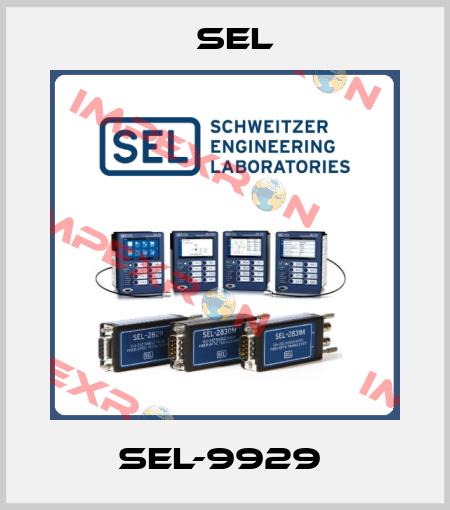 SEL-9929  Sel