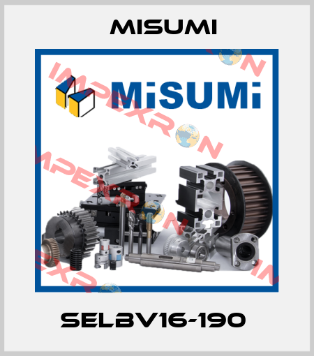 SELBV16-190  Misumi
