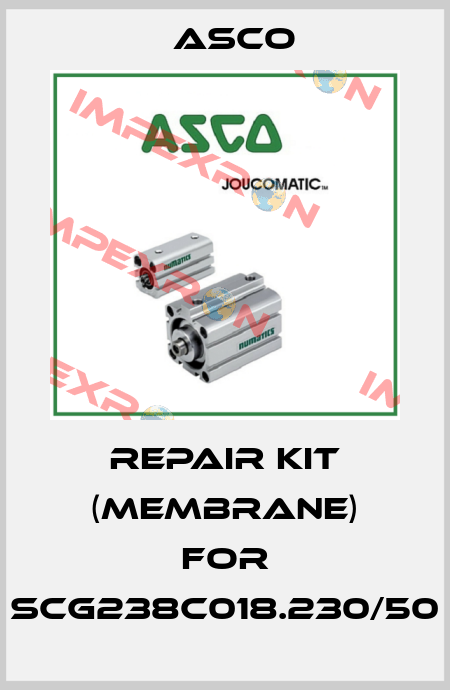 repair kit (membrane) for SCG238C018.230/50 Asco
