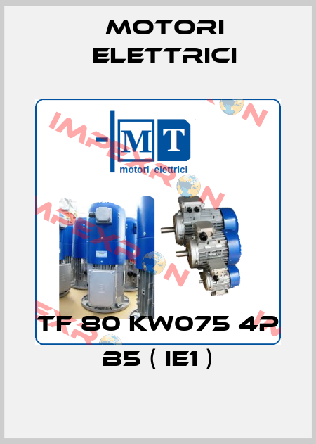 TF 80 kw075 4P B5 ( IE1 ) Motori Elettrici