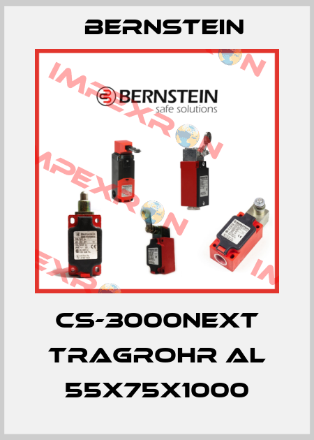 CS-3000neXt Tragrohr AL 55X75X1000 Bernstein