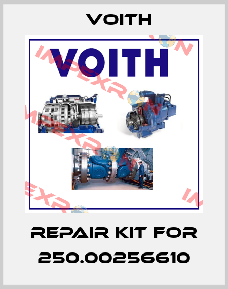 repair kit for 250.00256610 Voith