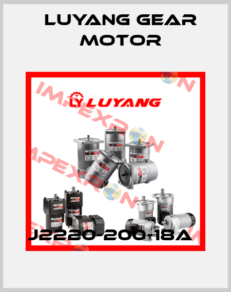 J2220-200-18A   Luyang Gear Motor