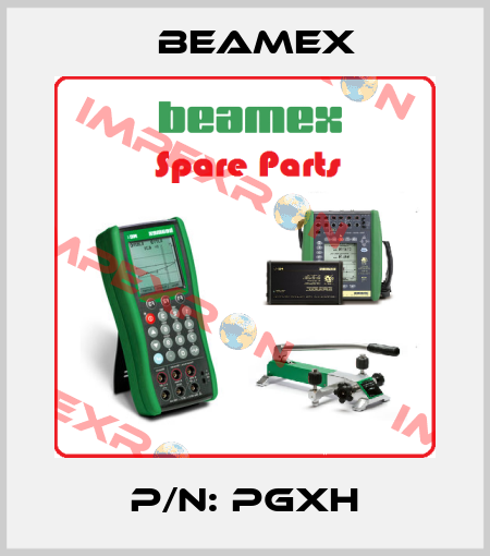 P/N: PGXH Beamex