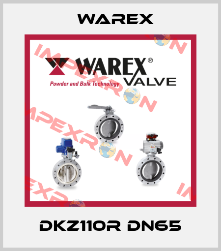 DKZ110R DN65 Warex