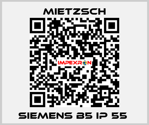 SIEMENS B5 IP 55  Mietzsch