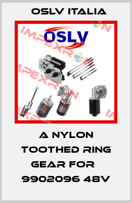 a nylon toothed ring gear for   9902096 48V OSLV Italia