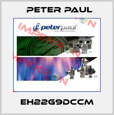 EH22G9DCCM Peter Paul
