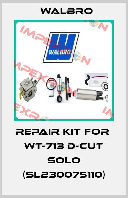 repair kit for  wt-713 d-cut SOLO (SL230075110) Walbro