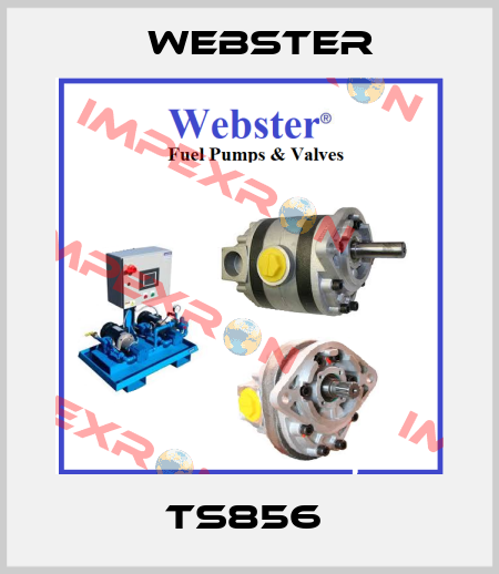 TS856  Webster