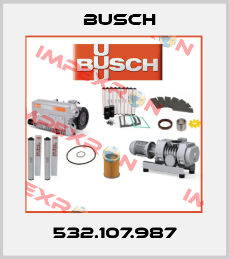 532.107.987 Busch