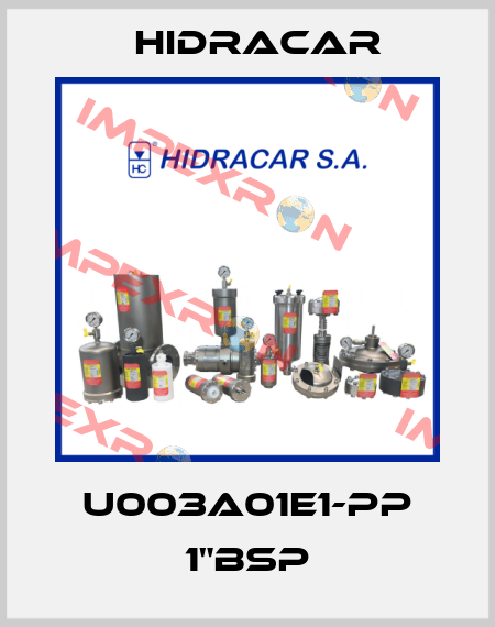 U003A01E1-PP 1"BSP Hidracar