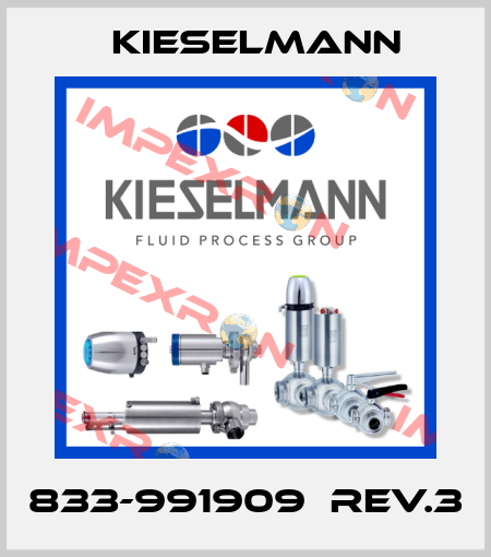 833-991909　Rev.3 Kieselmann