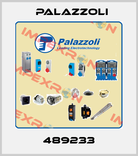 489233 Palazzoli