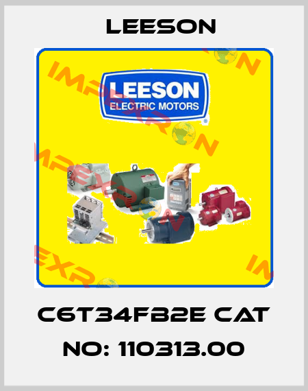 C6T34FB2E CAT No: 110313.00 Leeson