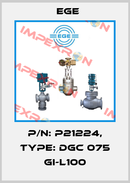 p/n: P21224, Type: DGC 075 GI-L100 Ege