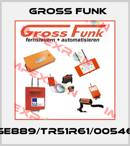 SE889/TR51R61/00546 Gross Funk